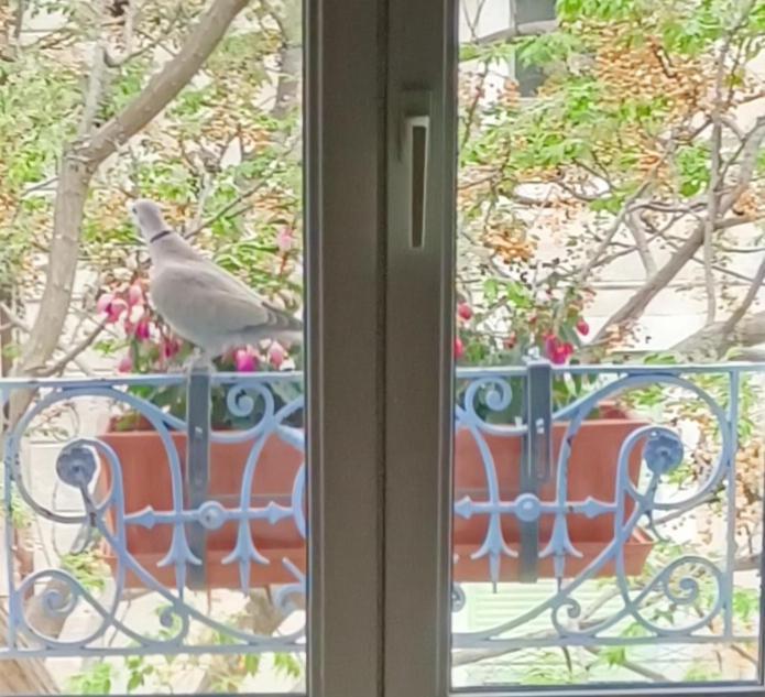 A Deux Pas D'Avignon Villa Aramon Bagian luar foto